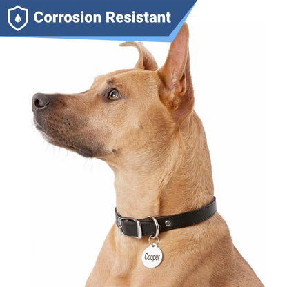 GoTags Stainless Steel Pet ID Tags, Personalized Dog Tags and Cat Tags