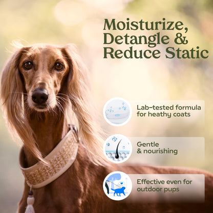 PAWFUME Stain & Pet Urine Odor Eliminator, 1-Pack