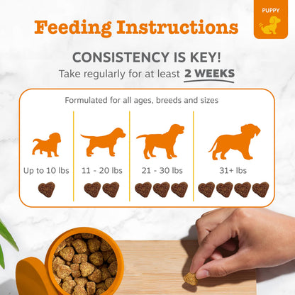 Zesty Paws Probiotics for Dogs, Digestive Enzymes Gut Flora, Digestive Health, Diarrhea & Bowel Support, DE111, Dog Probiotics Soft Chew for Pet Immune System, Chicken, 50 Ct