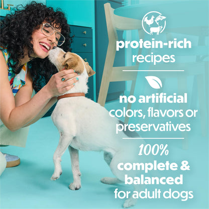 Purina Beneful IncrediBites Small Wet Dog Food in Gravy, Beef, (24) 3 oz