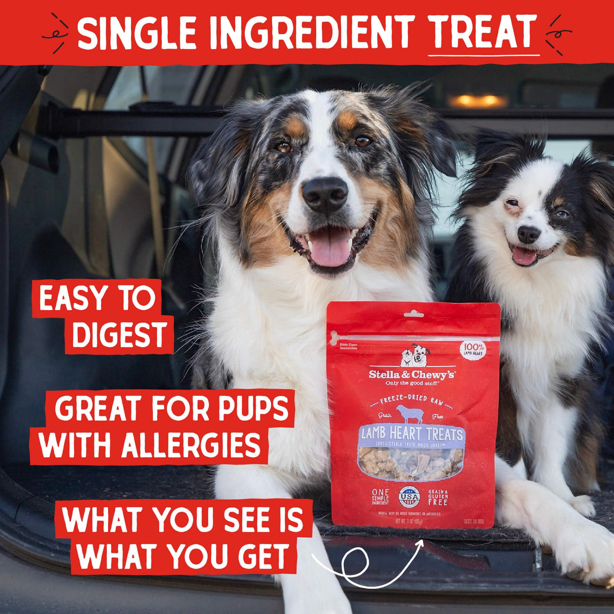 Stella & Chewy's Freeze-Dried Raw Chicken Breast Dog Treats - Single Ingredient, No Additives - Premium Training Treats - Perfect For Picky Eaters - 2.75oz Bag