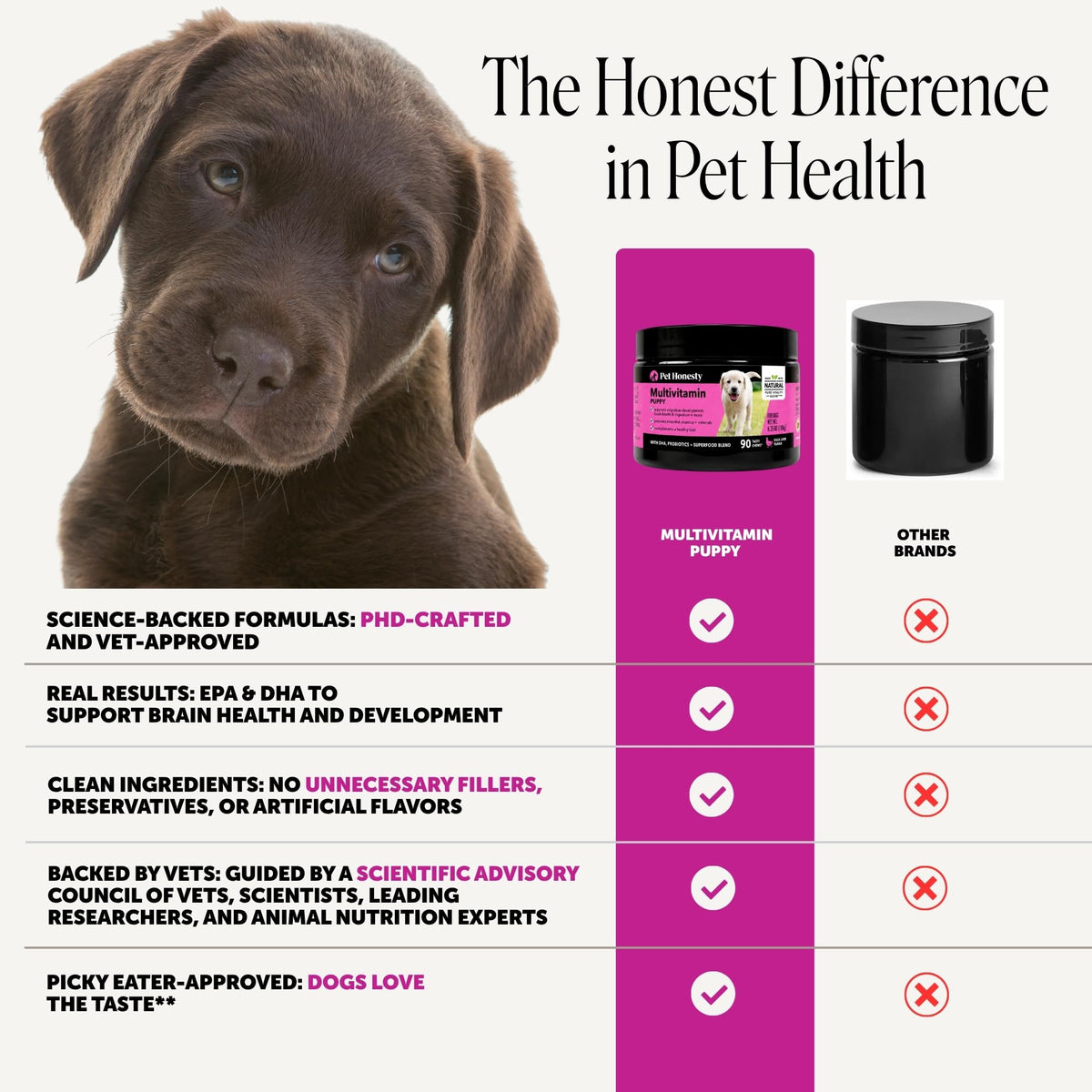 10-in-1 Dog Multivitamin Supplement with Glucosamine & Probiotics - Hip & Joint Support, Digestive Health, Immune Support, Heart & Skin - All-in-One Daily Vitamins & Omega-3s (Peanut Butter, 90 ct)