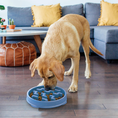 Outward Hound Fun Feeder Slo Bowl Dog Slow Feeder, Wave, Pink, 5.8"