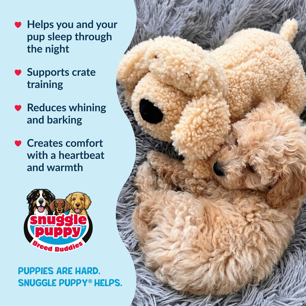 Snuggle Puppy Heartbeat Toy, Calming Comfort, Medium Breeds - Biscuit
