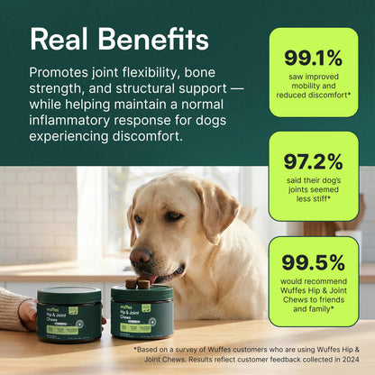 Wuffes Advanced Hip & Joint Supplement (2-Pack) - Soft Chews for Large Dogs with Glucosamine, Chondroitin, Omega 3, MSM & Green Lipped Mussel, Supports Mobility & Flexibility, 60 Pork Flavored Chews