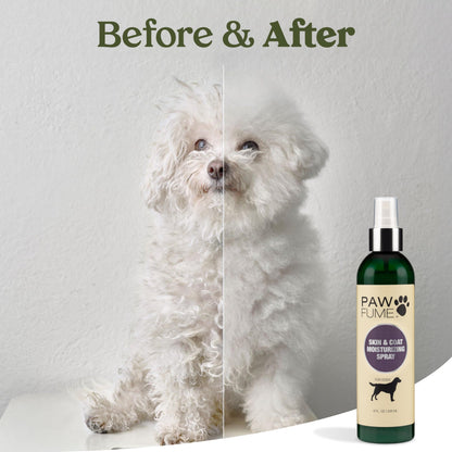 PAWFUME Deshedding Dog Shampoo and Conditioner, Show Dog, 1-Pack