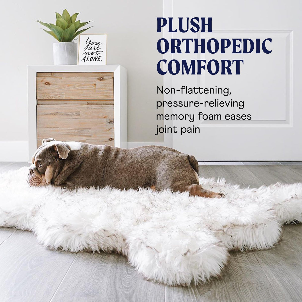 PAW BRANDS PupRug Orthopedic Memory Foam Dog Bed, White/Brown, 50x30