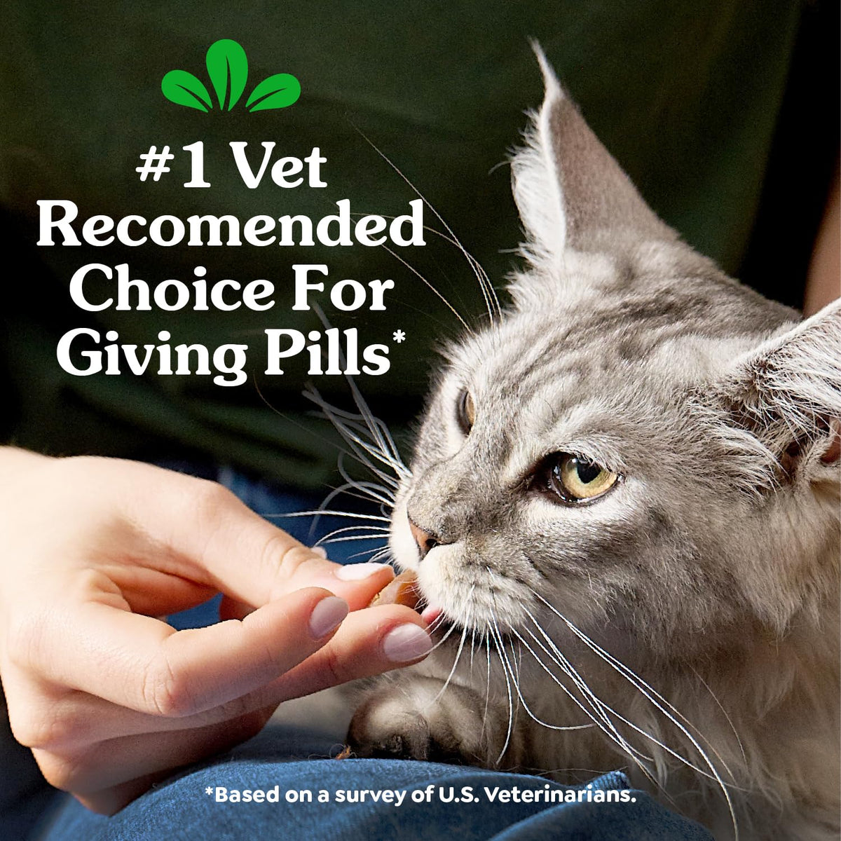 Greenies Feline Pill Pockets Soft Cat Treats, Chicken Flavor, 45 Count