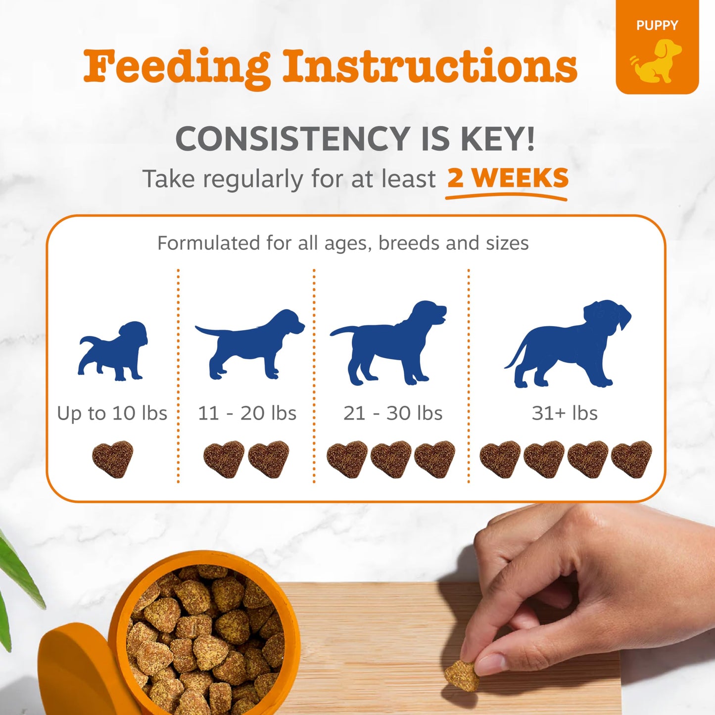 Zesty Paws Dog Multivitamin + Glucosamine for Dogs - Peanut Butter, 90 Ct