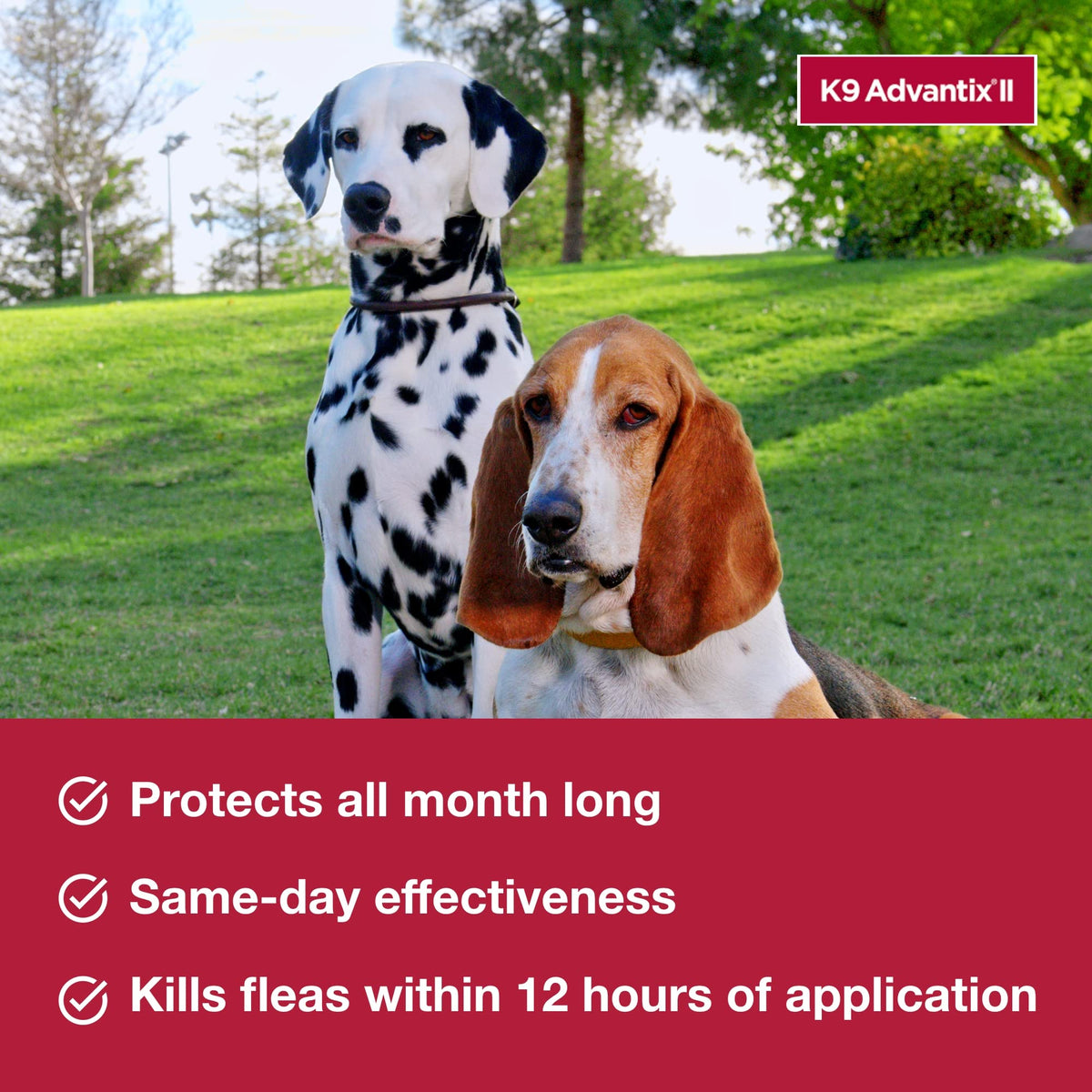 K9 Advantix II Flea & Tick Topical for Large Dogs 21–55 lbs., 2ct