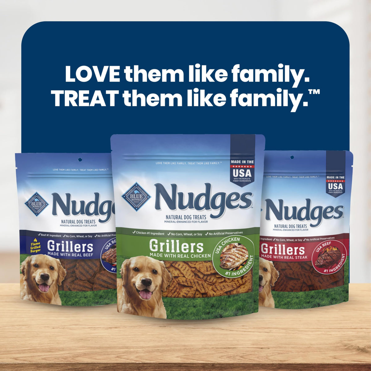 Blue Buffalo Nudges Grillers Salmon Dog Treats, 16 oz