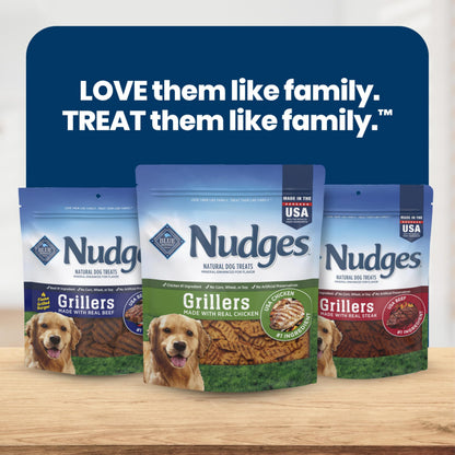 Blue Buffalo Nudges Grillers Salmon Dog Treats, 16 oz