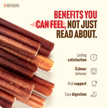 Natural Farm Odor-Free Bully Sticks (6 Inch, 25 count),1.3 lb. Bag, Fully Digestible 100% Beef Pizzle Chews,Grass-Fed, Non-GMO,Grain-Free, Natural Long-Lasting Chews for Small & Large Dogs. Pack of 25