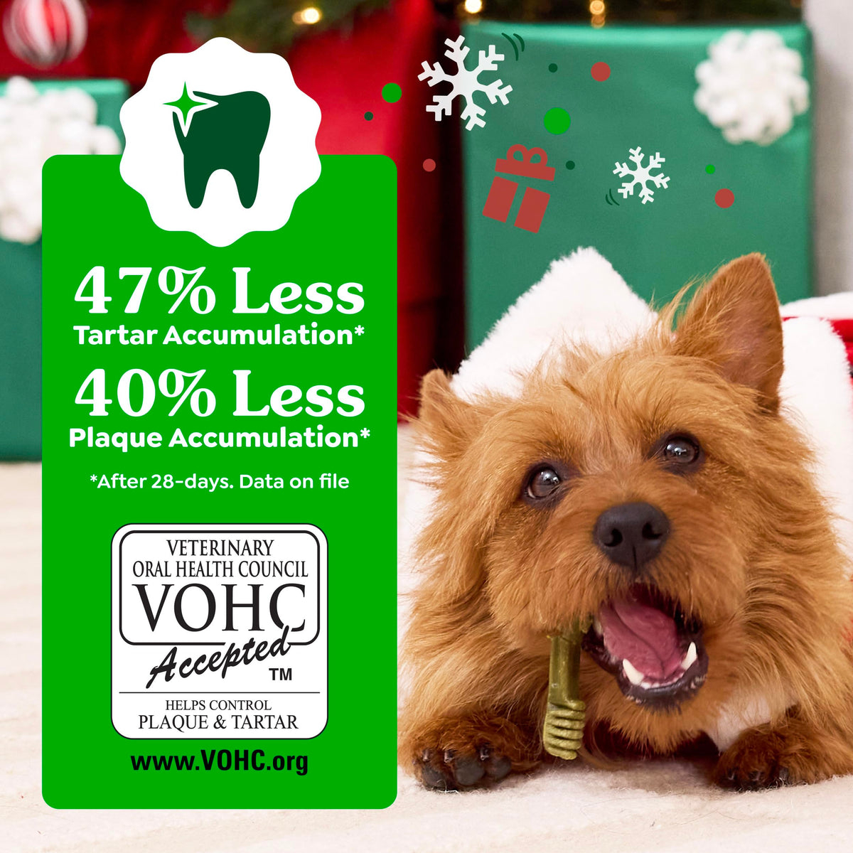 Greenies Teenie Natural Dental Dog Treats, Fresh Mint Flavor, 43 Count