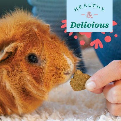 Oxbow Simple Rewards Guinea Pig & Rabbit Treats, Apple Banana, Baked, 3 oz
