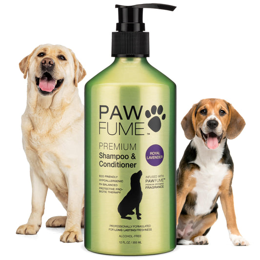 PAWFUME Deshedding Dog Shampoo and Conditioner, Show Dog, 1-Pack