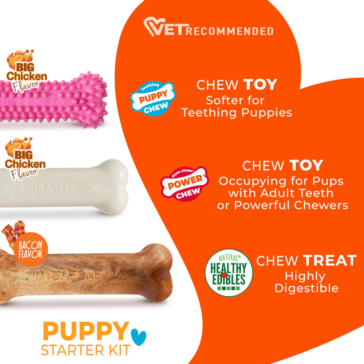 Nylabone New Puppy Starter Kit, Puppy Teething Toys, 3 Pack, Blue