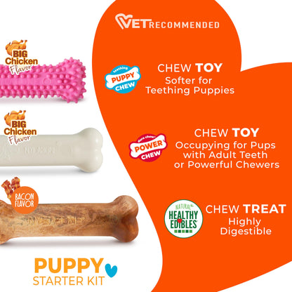 Nylabone New Puppy Starter Kit, Puppy Teething Toys, 3 Pack, Blue