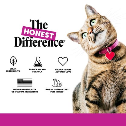 Pet Honesty Vet Backed Cat Multivitamin Lickable Puree, Salmon, 40 Ct