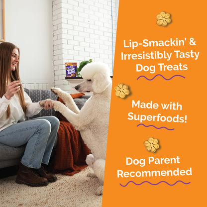 Fruitables Baked Dog Treats, Low Calorie Treats, Pumpkin & Blueberry, 12oz