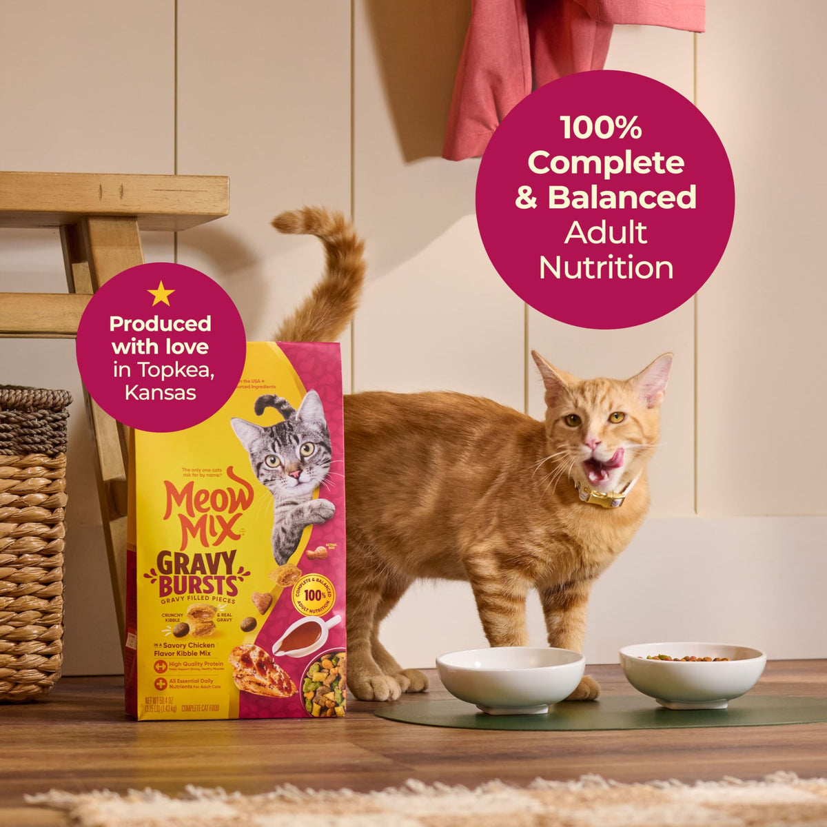 Meow Mix Gravy Bursts Dry Cat Food, 3 lb Bag