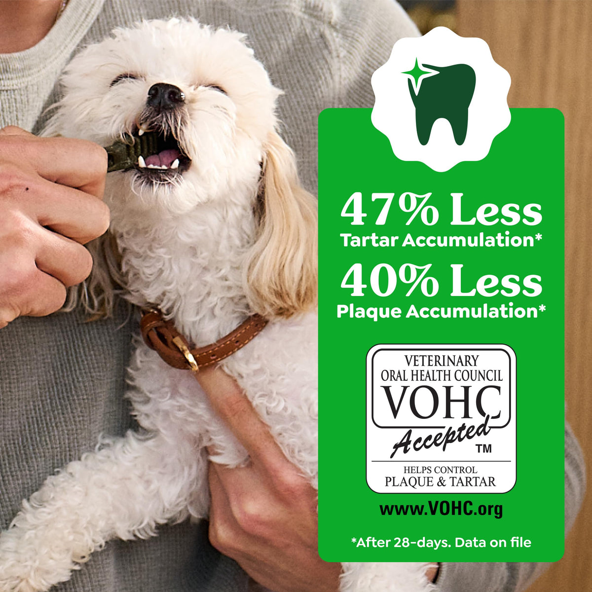 Greenies Petite Natural Dental Dog Treats, Original Flavor, 30 Count