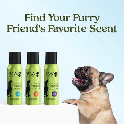 PAWFUME Stain & Pet Urine Odor Eliminator, 1-Pack