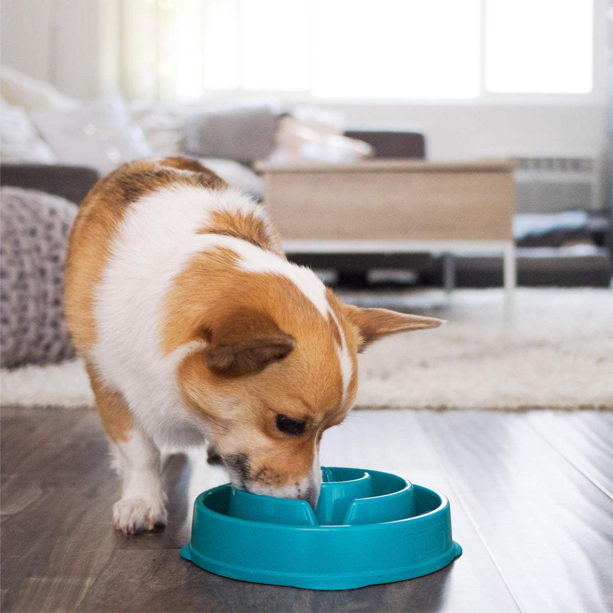 Outward Hound Fun Feeder Slo Bowl Dog Slow Feeder, Wave, Pink, 5.8"