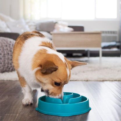 Outward Hound Fun Feeder Slo Bowl Dog Slow Feeder, Wave, Pink, 5.8"