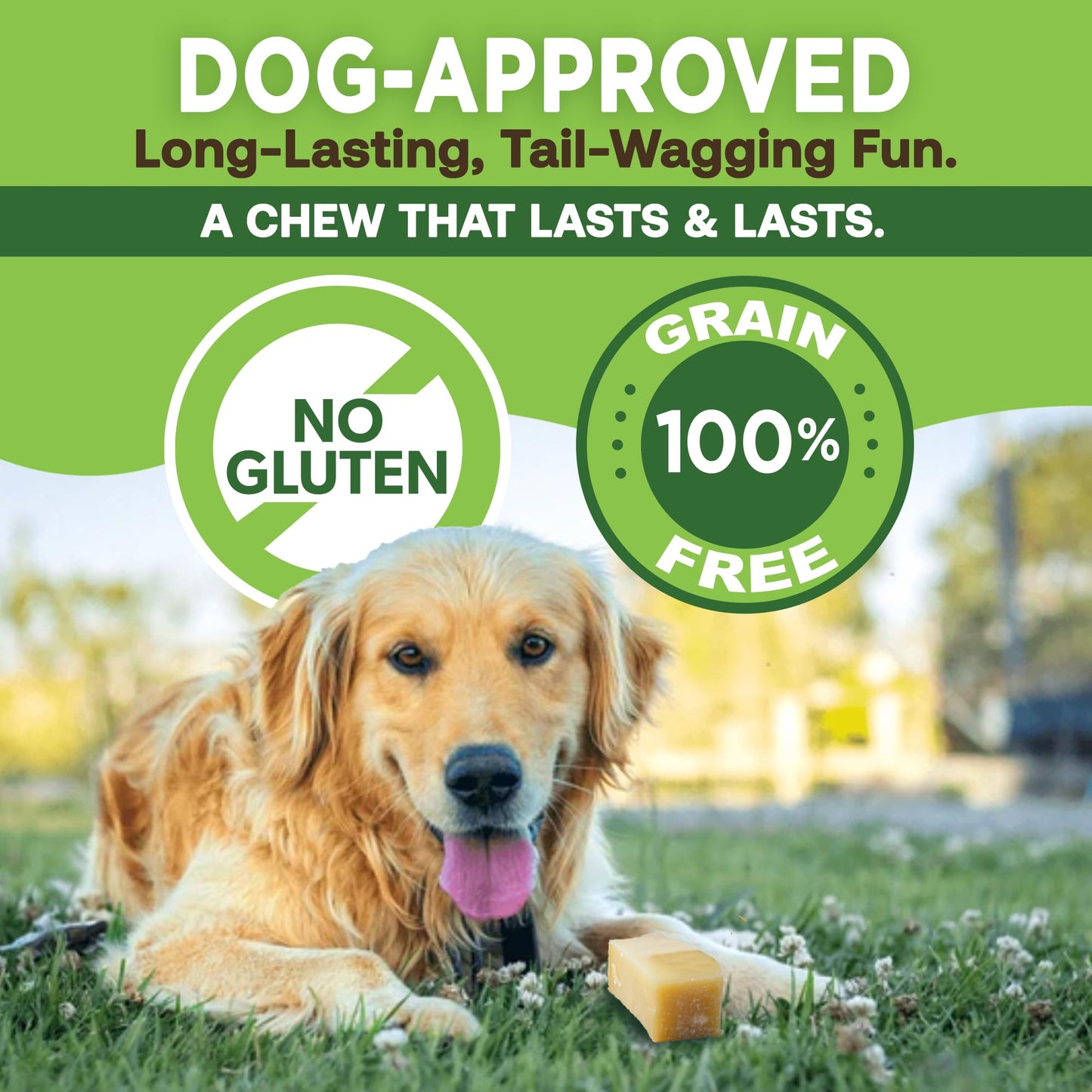 EcoKind Yak Cheese Himalayan Dog Chews, Yak Chews for Small Dogs, 4 Bones