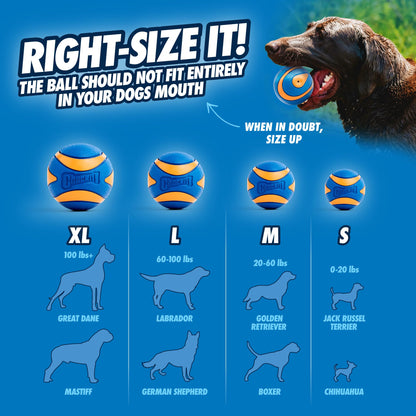 Chuckit! Ultra Ball Dog Toy, Durable Rubber, Medium 2.5-in, 2 Pack