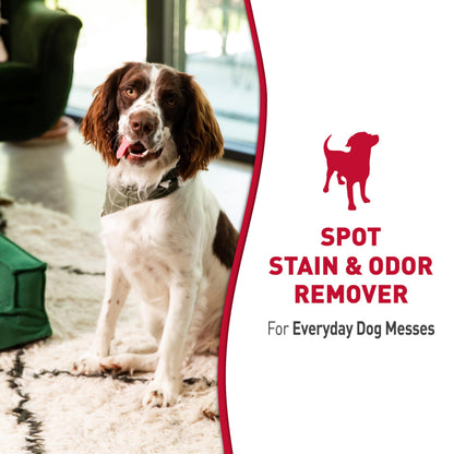 Nature’s Miracle Dog Stain & Odor Remover, Enzymatic Cleaner, 170 oz Refill