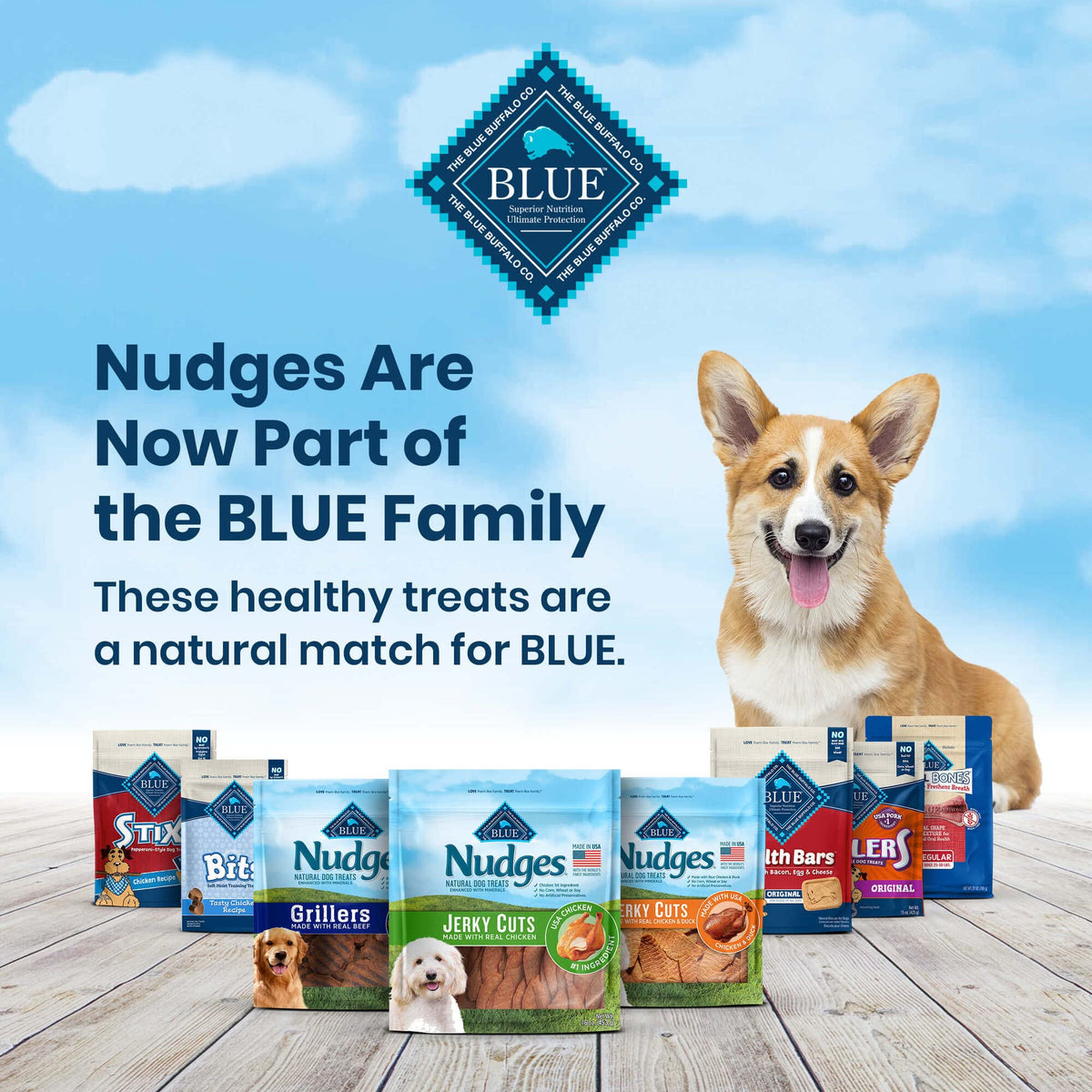 Blue Buffalo Nudges Jerky Cuts Chicken & Duck Dog Treats, 16 oz