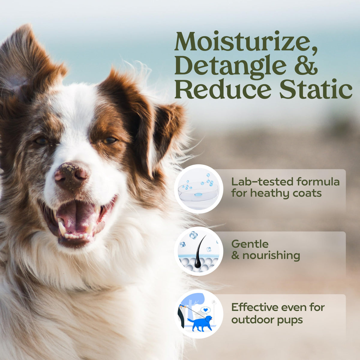 PAWFUME Stain & Pet Urine Odor Eliminator, 1-Pack