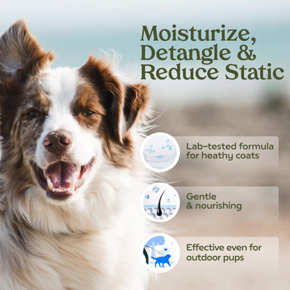 PAWFUME Stain & Pet Urine Odor Eliminator, 1-Pack