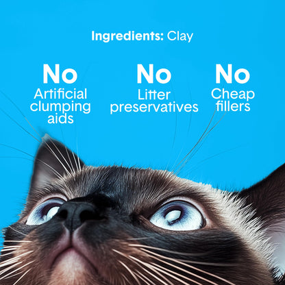 Boxie Premium Unscented Clumping Cat Litter 30+ Day Odor Control 16 lb