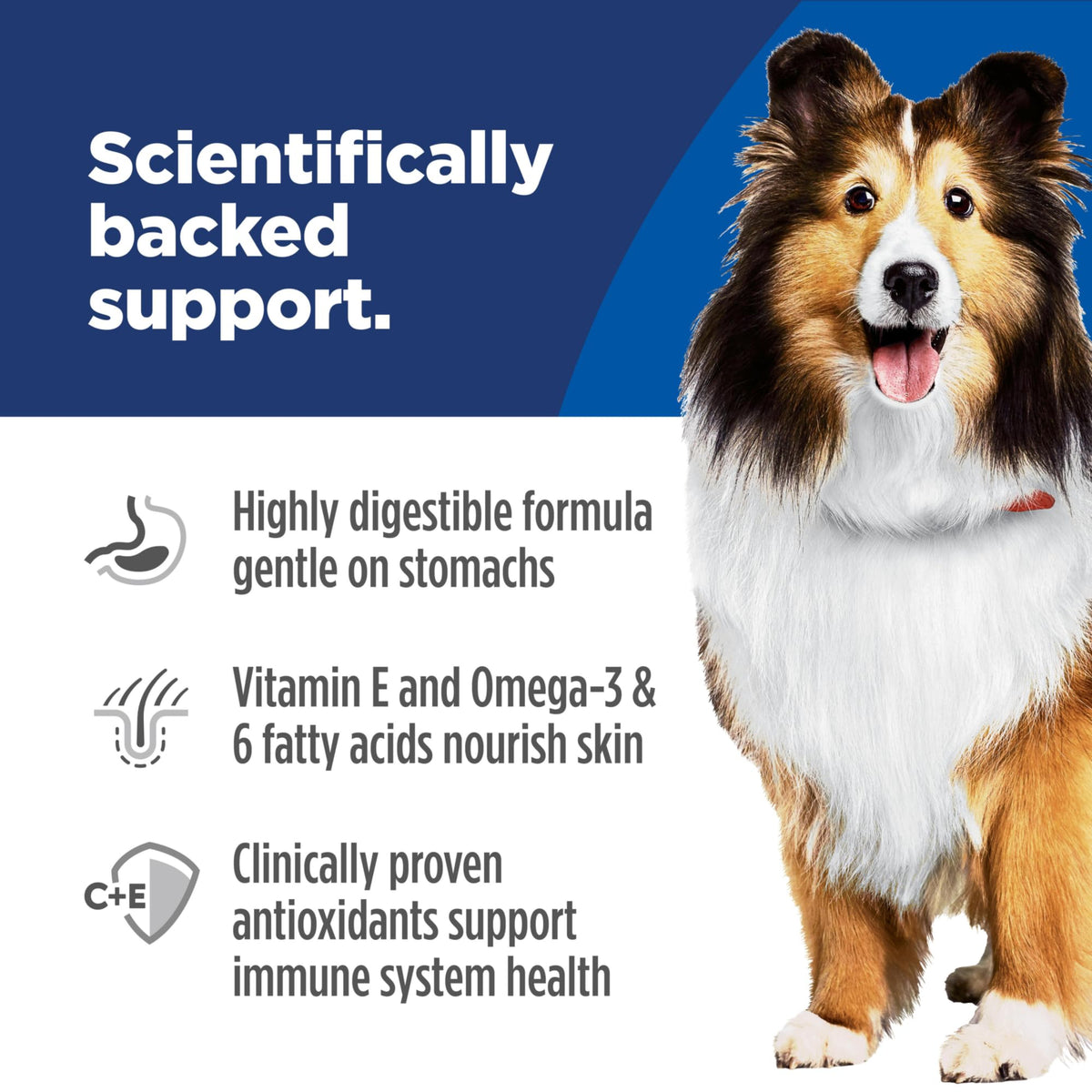 Hill's Science Diet Sensitive Stomach & Skin Wet Dog Food