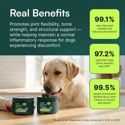 Wuffes Advanced Hip & Joint Supplement (2-Pack) - Soft Chews for Large Dogs with Glucosamine, Chondroitin, Omega 3, MSM & Green Lipped Mussel, Supports Mobility & Flexibility, 60 Pork Flavored Chews