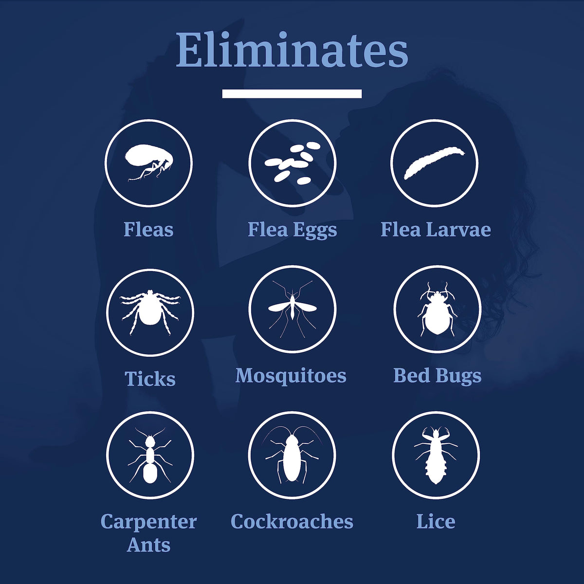 PETARMOR Home and Carpet Spray for Fleas and Ticks, Protect Your Home From Fleas and Eliminate Pet Odor, 16 Ounce