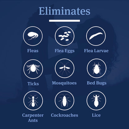 PETARMOR Home and Carpet Spray for Fleas and Ticks, Protect Your Home From Fleas and Eliminate Pet Odor, 16 Ounce