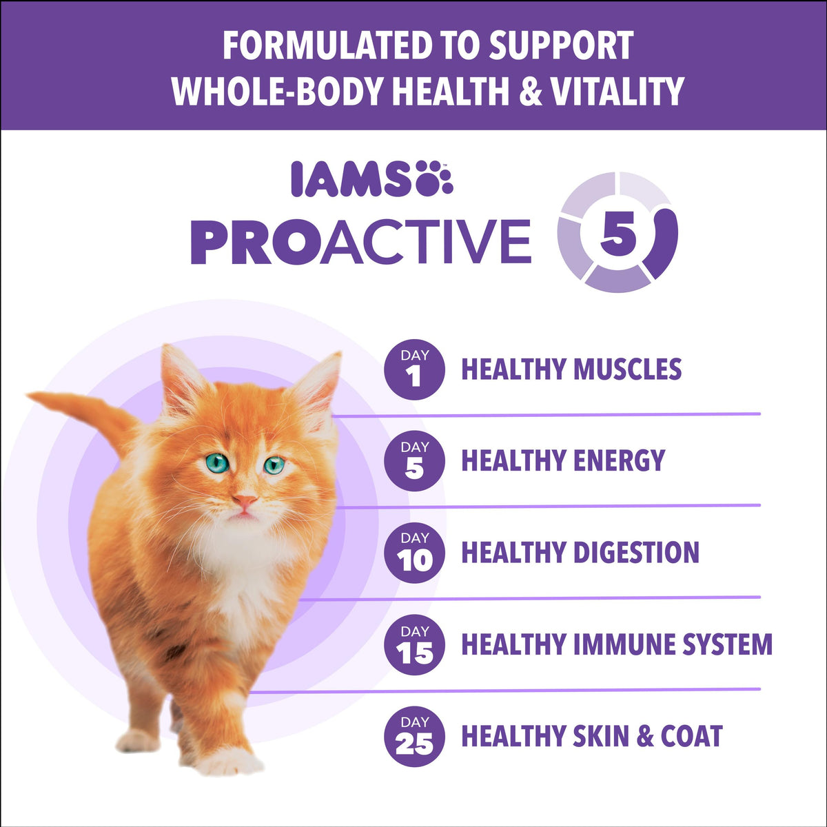 IAMS Proactive Health Healthy Kitten Dry Cat Food, Salmon, 7 lb
