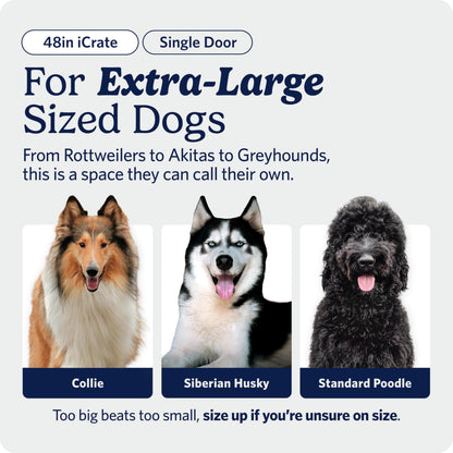 Midwest 42-Inch Single Door iCrate, for Large Breeds, 71-90 lbs