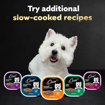 Cesar Filets in Gravy Wet Dog Food, Steak Mix Variety, 3.5 oz, 24 Count