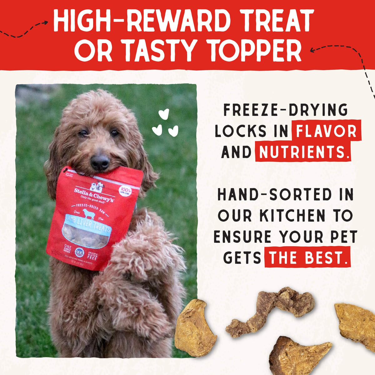 Stella & Chewy's Freeze-Dried Raw Chicken Breast Dog Treats - Single Ingredient, No Additives - Premium Training Treats - Perfect For Picky Eaters - 2.75oz Bag