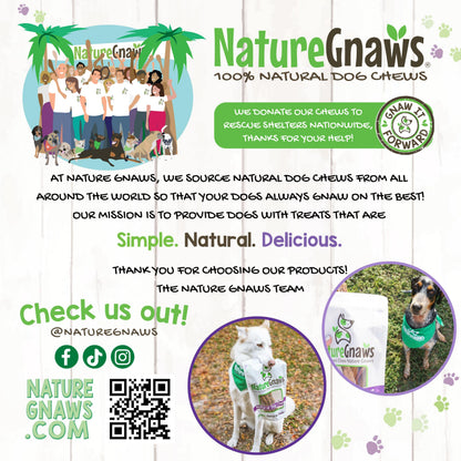 Nature Gnaws USA Turkey Tendons Dog Treats, 4 oz
