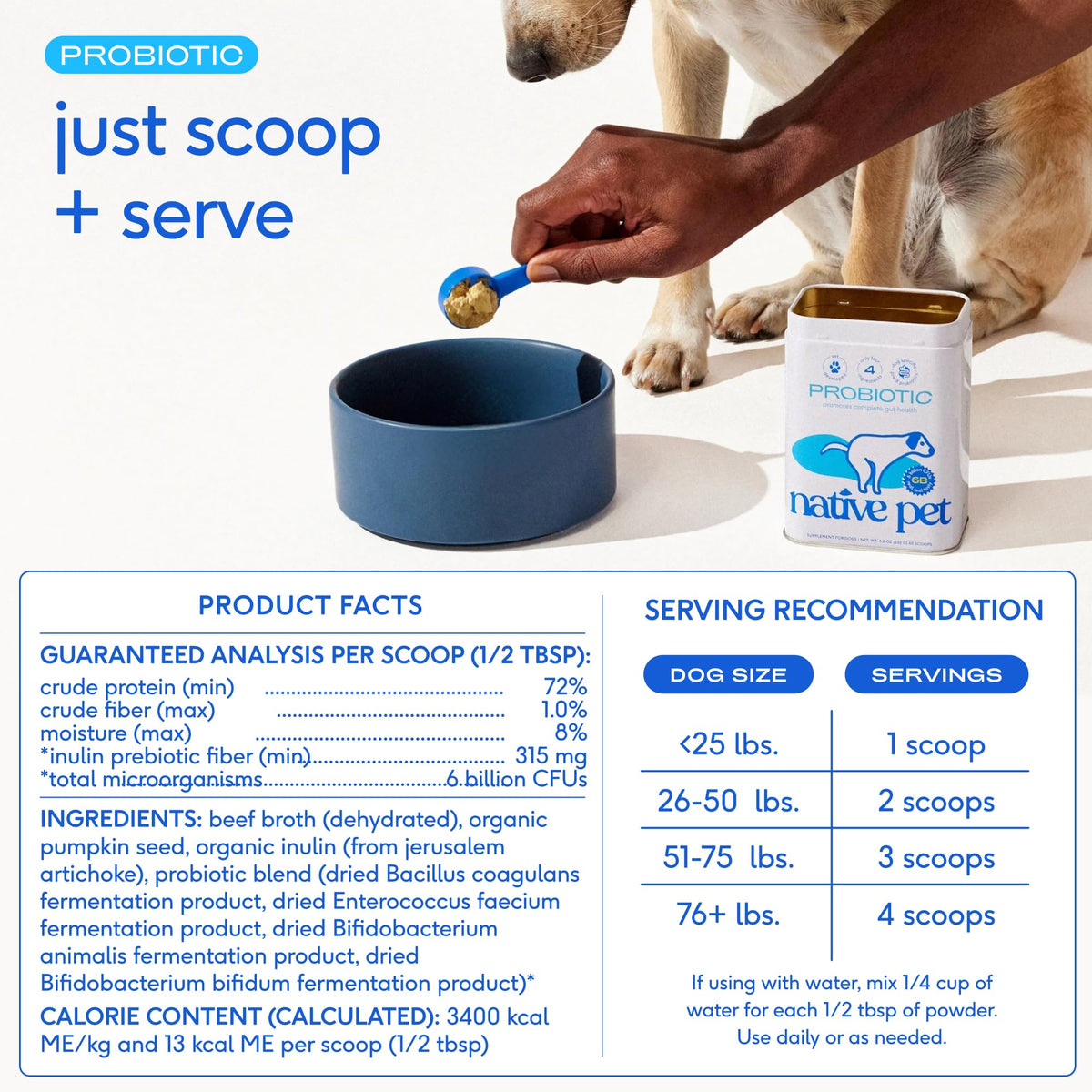 Native Pet GutWell Power Poop - Digestive Support & Fiber for Dogs - Promotes Healthy Stools, Supports Balanced Microbiome & Digestive Function - Triple-Biotic Blend & M-Fiber - 60 Scoops