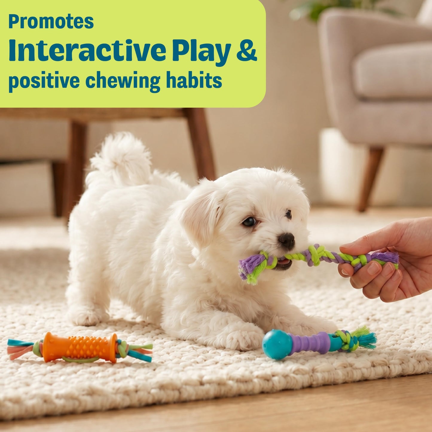 Cool Teething Stick Dental Dog Chew Toy, Soak & Freeze, 8.5"