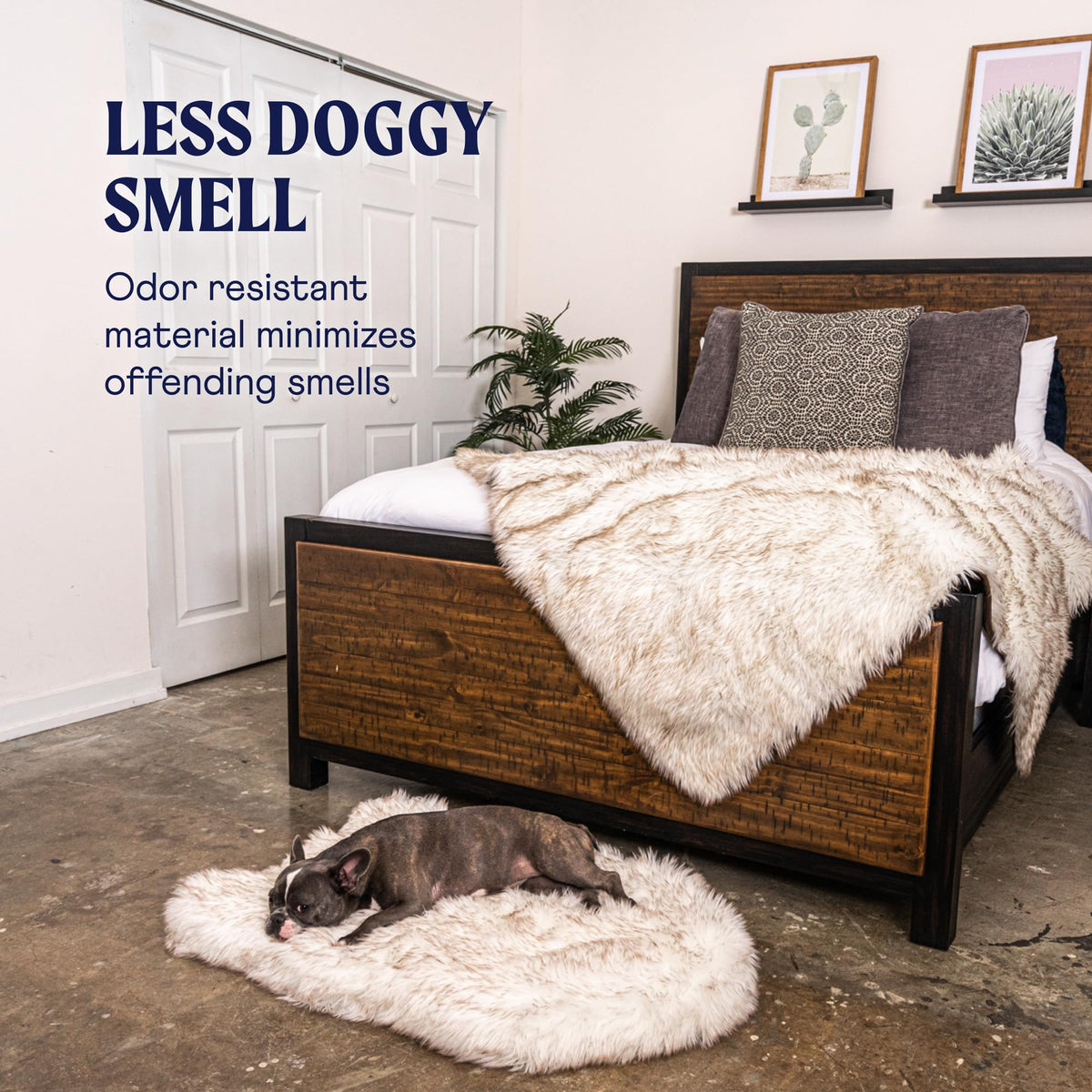 PAW BRANDS PupRug Orthopedic Memory Foam Dog Bed, White/Brown, 50x30