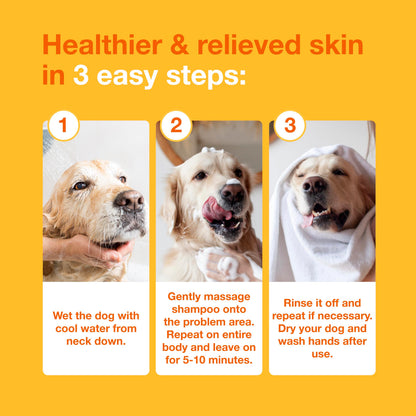 Douxo S3 PYO Medicated Dog Shampoo with 3% Chlorhexidine for Dogs – Antibacterial & Antiseptic Yeast Infection Treatment For Dogs & Cats, Clinically Proven, 6.7 fl oz