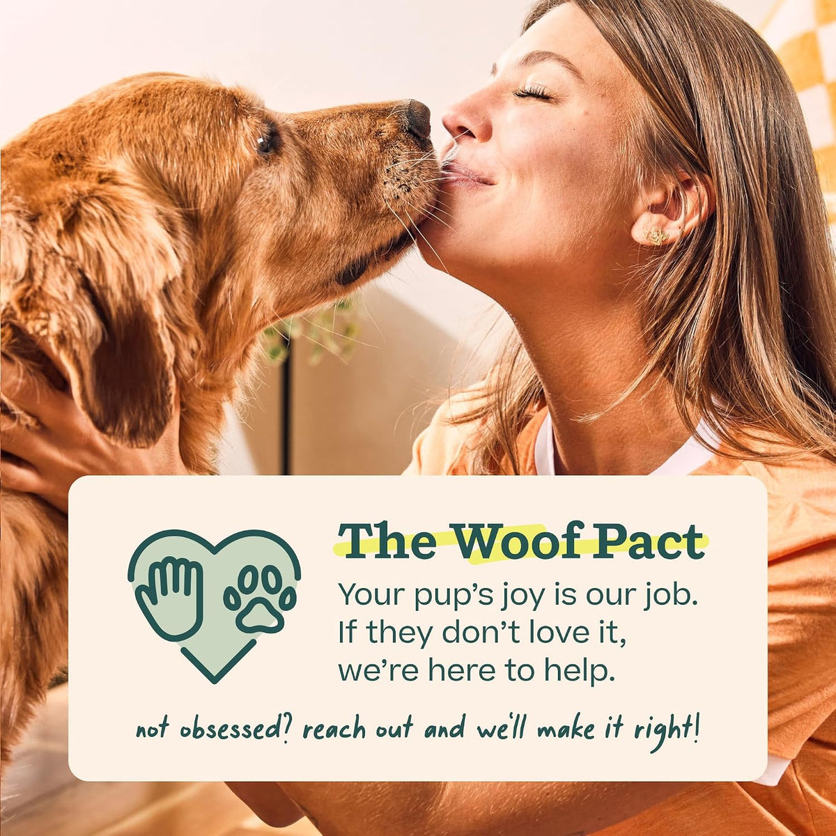 WOOF Bite n' Brush Dog Dental Sticks, Refills for Chew Toy, Chicken, 2 Pack